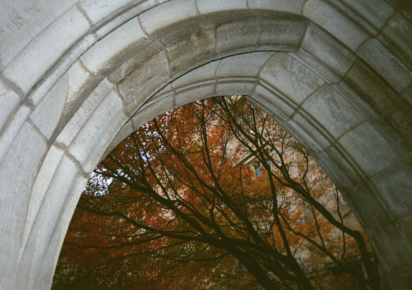The Green