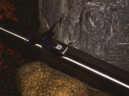 Veritas Search & ESW