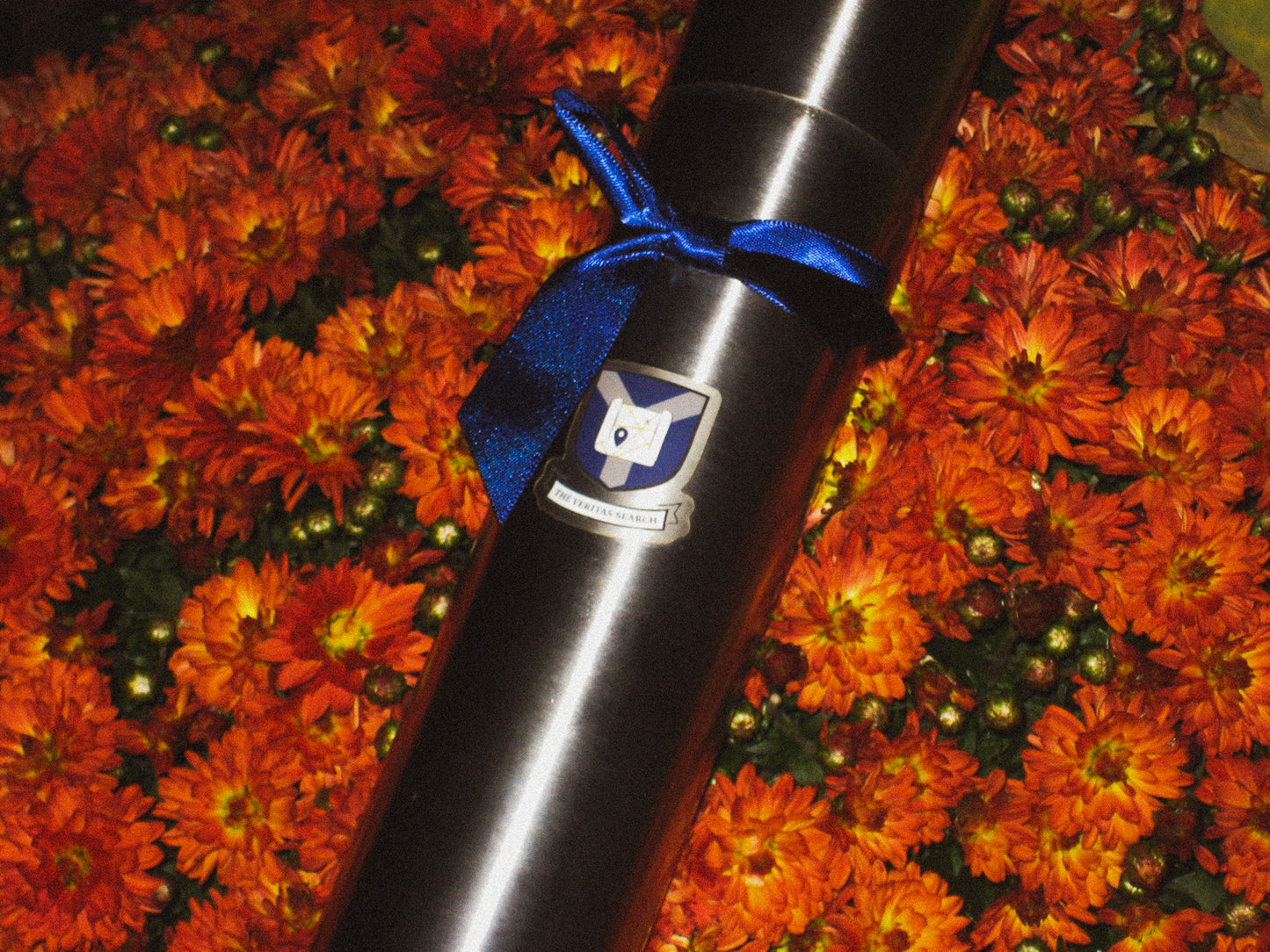 Veritas Search & ESW