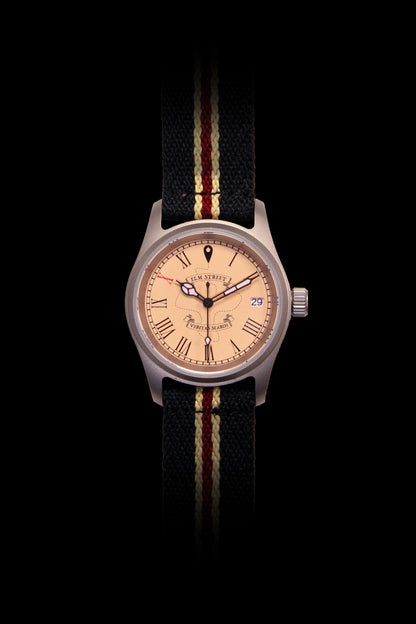 Veritas Search & ESW